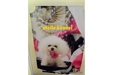 森元 卓美ブリーダー